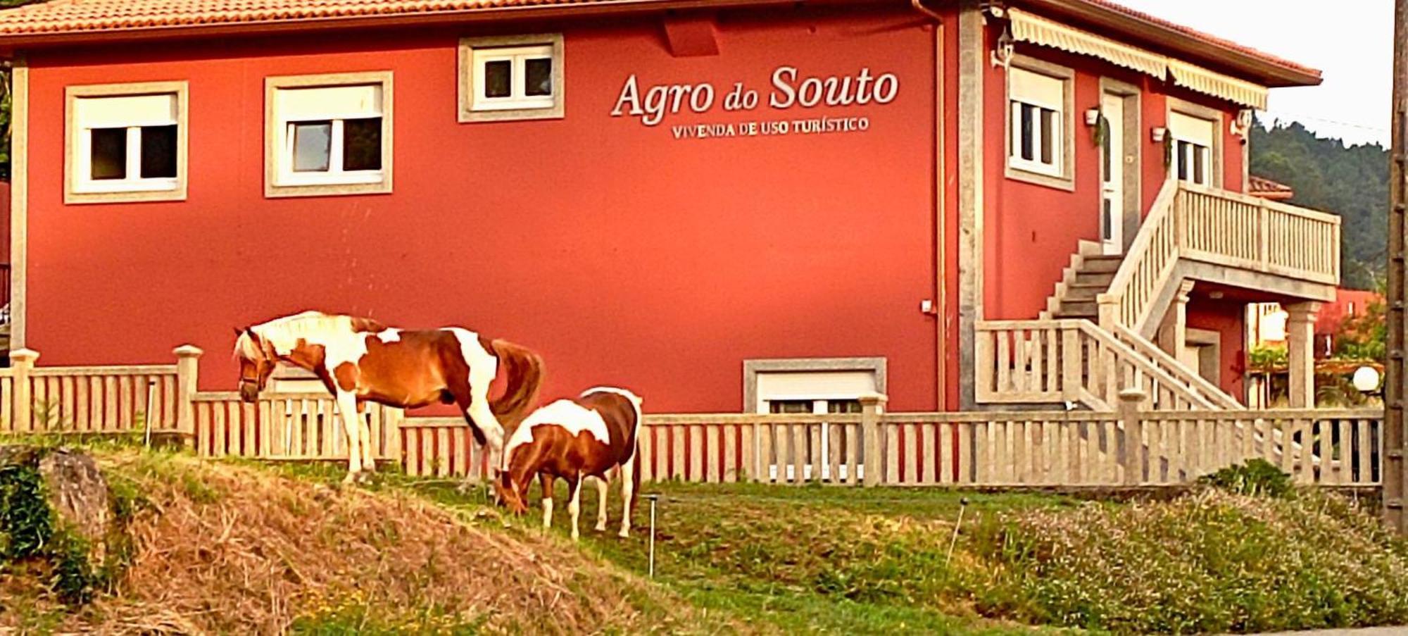 Agro Do Souto, Noia - Villa Completa מראה חיצוני תמונה